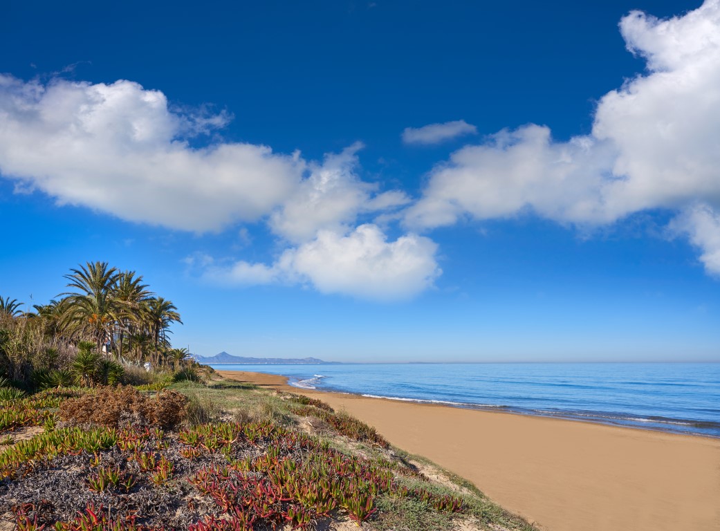 Petit Appartement en vente à Dénia