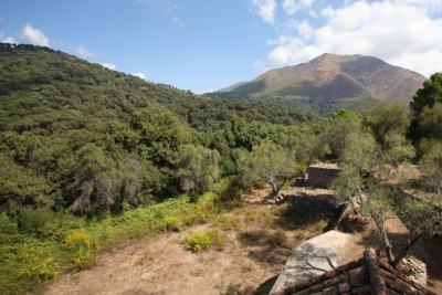 Country Property for rent in Casares