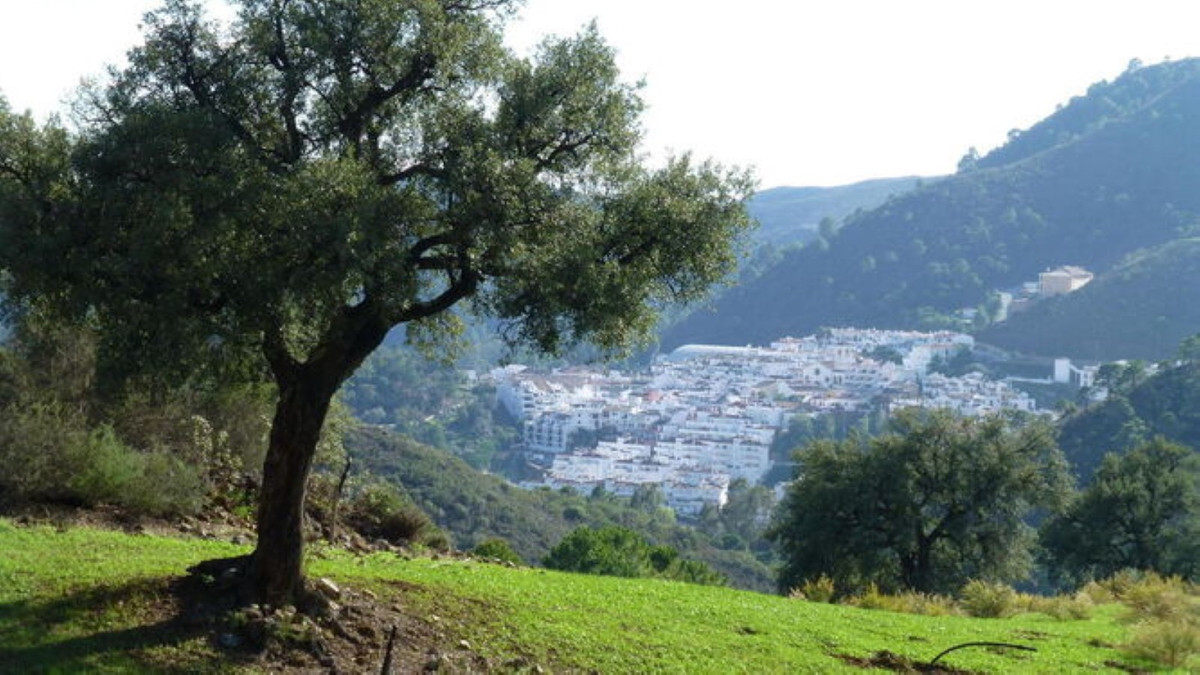 Plot en venda in Benahavís